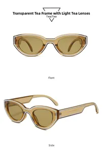 Detail view of retro cat eye sunglasses with transparent tea frame and side hinge