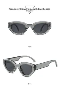 Close-up of retro cat-eye sunglasses with transparent grey frame and wide temple detail