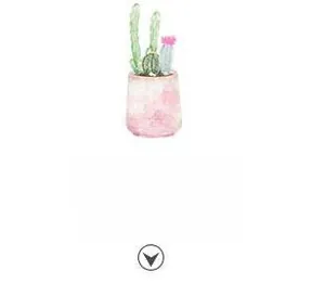 Detail showing watercolor cactus in a pink pot for the mountain tapestry collection