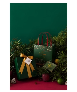 Detail of green Christmas gift box and matching paper bag with gold Merry Christmas print