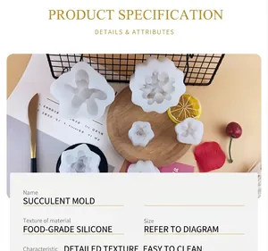Vue détaillée du moule en silicone translucide pour bougies en forme de succulentes