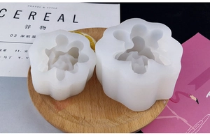 Vue macro détaillée de moules en silicone de succulentes en deux tailles sur plateau