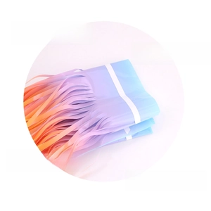 Detail of macaron gradient fringe curtain made of PET with 6mm double-sided adhesive tape