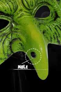 Detail shot of the scary green witch mask showing skin texture and black mole detail