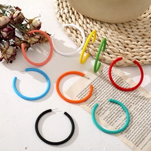 Detailed view of colorful round hoop earrings arranged with elegant dried flowers and props