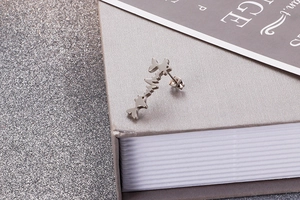 Macro shot of silver fishbone stainless steel stud earring on a book edge