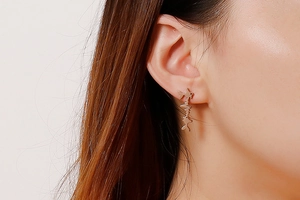 Detail of rose gold fish-shaped earring on a model, showing stainless steel texture