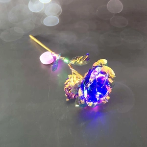 Detailed view of single gold leaf rose with blue LED light and pink battery box