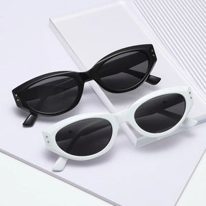 Retro Small Frame Cat Eye Sunglasses PC Frame UV400 Protection Polarized Fashion Eyewear For Women Street Style