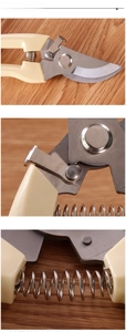 Detailed view of gardening shears featuring steel blades, safety lock, and spring mechanism