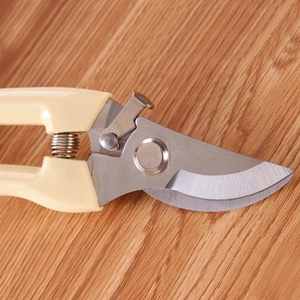 Sharp stainless steel gardening pruning shears with cream handles on wooden background