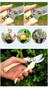 Garden shears detail showing safety lock, spring mechanism, and various pruning scenarios