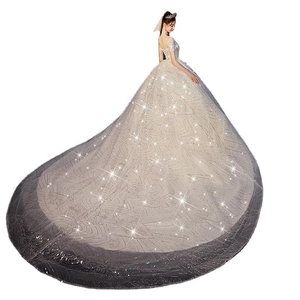 Elegant lace wedding dress with luxury sequins, long train and majestic ball gown silhouette