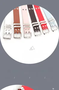 Detail of double-grommet belts in multiple colors with silver twin-prong metal buckles