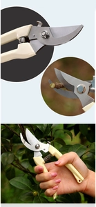Close-up of metal blades and spring-loaded handle for garden pruning shears tool