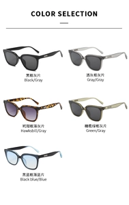 Color selection of square oversized sunglasses with various frame and lens options