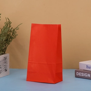 Solid red kraft paper gift bag styled with books and plants for party favors