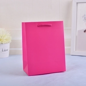Detailed view of a pink paper gift bag with matching sturdy pink rope handles for packaging