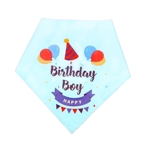 Light blue birthday boy pet triangle scarf with balloon and hat prints on white background