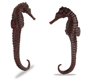Detailed view of two realistic seahorse figurines with lifelike brown scales and textures