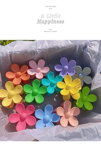 Macro view of colorful matte floral hair claws set in a gift box with soft sunlight