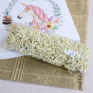 Détails de boutons de fleurs séchées naturelles pour couronnes de mariage et artisanat