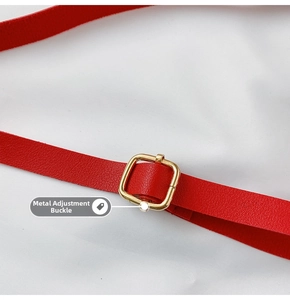 Detail of red leather bag strap with polished gold metal adjustable pin buckle