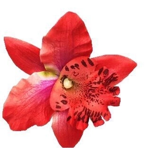 Detailed view of red orchid hair clip with purple spots for Bohemian beach vacation