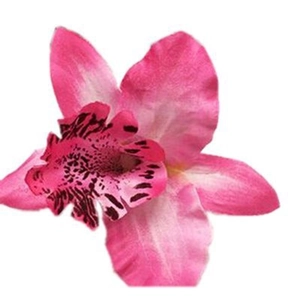 Detailed macro view of a vibrant pink and magenta artificial orchid flower head