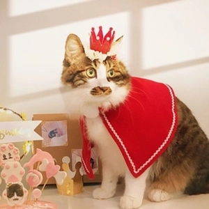 Christmas Pet Costume Cape Scarf Hat Antlers Headband Santa Snowman Knit Plush Cosplay Accessories For Cats Dogs
