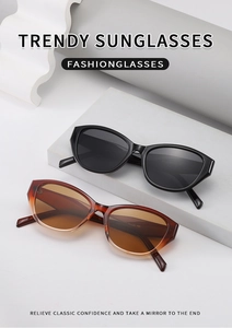Détails de lunettes de soleil œil-de-chat tendance en noir et écaille sur des supports