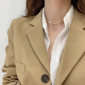 Stainless Steel Snake Bone Chain Necklace Minimalist Flat Metal Choker Clavicle Chain Fashion Jewelry For Women