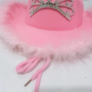 Close-up of pink cowboy hat with silver rhinestone tiara and fluffy feather brim