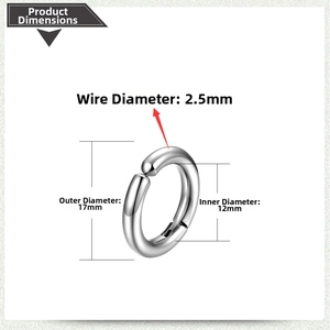 Technical drawing of stainless steel hoop earring with 2.5mm thickness and 17mm diameter