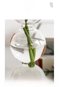 Détail d'un vase moderne en verre transparent à double sphère pour plantes