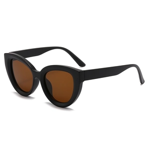 Cat Eye Sunglasses PC Frame AC Lens UV400 Protection Retro Fashion Sunshades For Women Men Travel Party