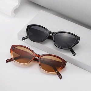 Lunettes De Soleil Yeux De Chat Rétro Monture PC Protection UV400 Lunettes De Mode Pour Hommes Femmes