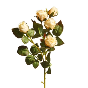 Vintage champagne artificial roses with burnt edges and green leaves on white background