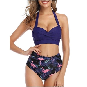 Detail of high-waisted bikini with flamingo print and navy halter neck top