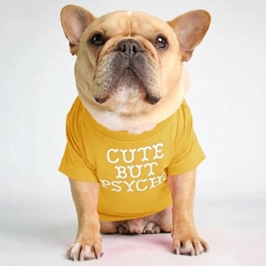 Detail of yellow cotton dog T-shirt with CUTE BUT PSYCHO print on French Bulldog