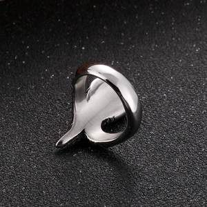 Detail eines polierten Hai-Rings in Silber zeigt das Innenband und Metallstrukturen