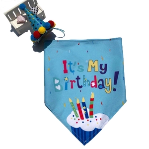 Macro view of blue pet birthday bandana and sequin party hat with pom-pom details