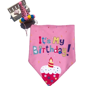 Close-up of pink dog birthday bandana and party hat with 'It's My Birthday' text