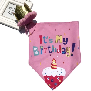 Pink pet birthday bandana and gold sequin crown hat set on white background
