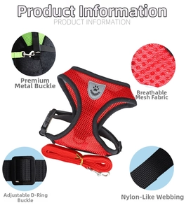 Detail of red mesh pet harness set showing metal buckle and breathable fabric texture