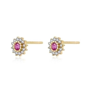 Elegant s925 silver pink zircon flower stud earrings with gold plating on white background