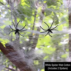 White stretchable Halloween spider web decoration on tree branches with two small black spiders