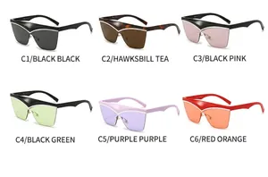 Auswahl lebhafter Cat-Eye-Sonnenbrillen in verschiedenen Farben mit eleganten Akzenten