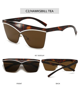 Detailansicht der Cateye-Sonnenbrille in Schildpatt mit Teegläsern und silbernen Akzenten