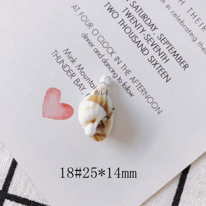 Macro shot of vintage style spiral seashell pendant with silver metal ring on card